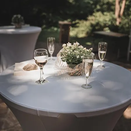 Chateau D Isabel Bed & Breakfast Muhlbach-sur-Bruche